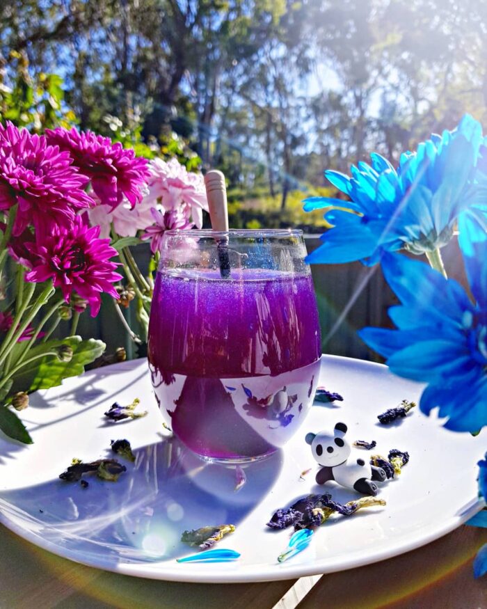 Blue Butterfly Pea Tea - Purple